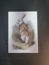 Alice In Wonderland White Rabbit Canvas Wall Art  Wood Backed