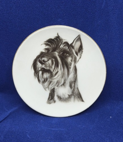 Vintage schnauzer pin - pin, tray