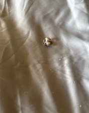 Genuine Pandora Turtle Charm 