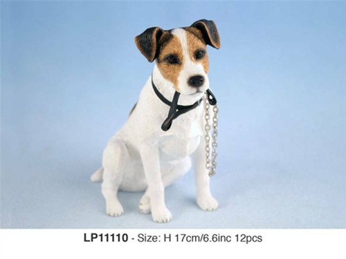 Jack russell terrier dog - russell,