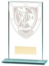 Horse Trophies Millennium Equestrian Glass Trophy Award 6 Sizes FREE Engraving