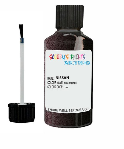 Paint for nissan nightshade - nissan,