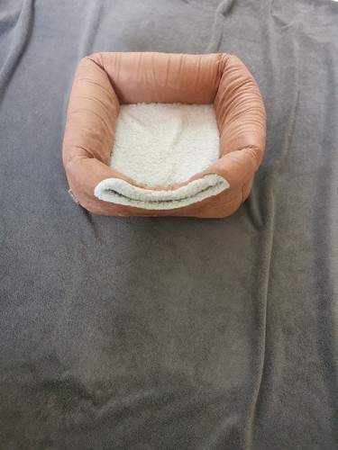 Cat bed turns into - turns,