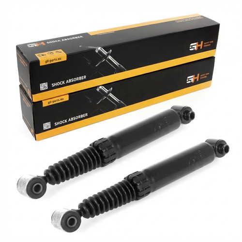 Gas shock absorbers rear - 2x,