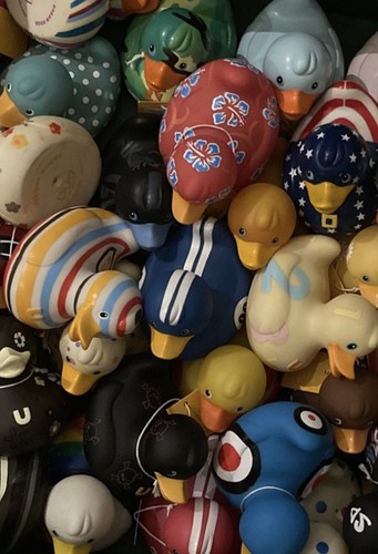 Design room deluxe - deluxe, ducks