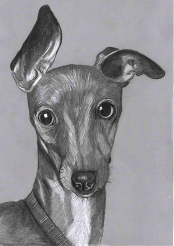 Original pencil drawing - original, art