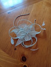 Fasinator by Sally jay