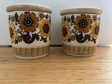 Royal Worcester Palissy Casual Tableware 2 pots