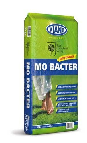 Viano bacter moss - mo,