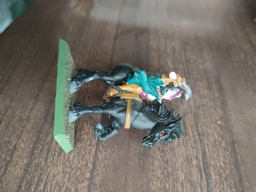 Dark elf rider champion - rider,