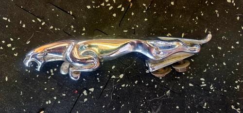 Jaguar leaping cat bonnet - leaping,