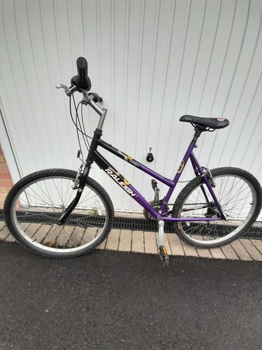 Raleigh vixen ladies bycycle - ladies,