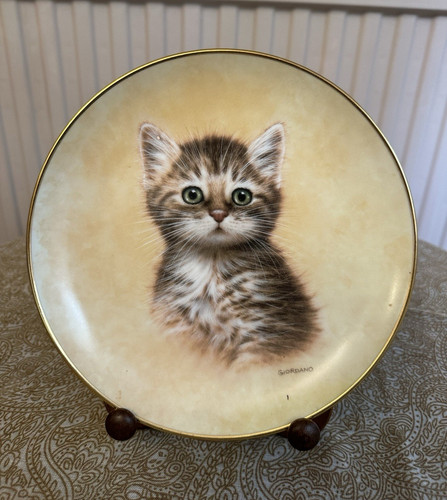 Giordano kittens lucky - kittens,