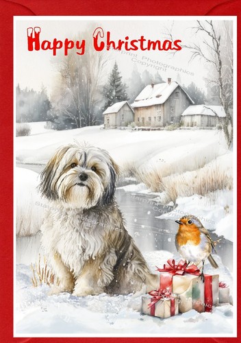 Havanese dog christmas card - havanese,