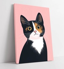 TORTOISESHELL CAT ON PINK