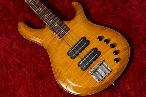 Prs grainger string bass - prs,