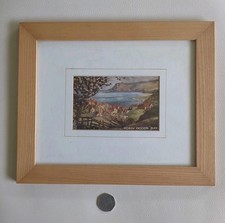 Framed Small Print Of Robin