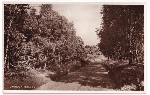 Cannock chase staffordshire - cannock,