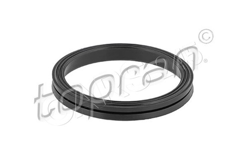 Timing case gasket - case,