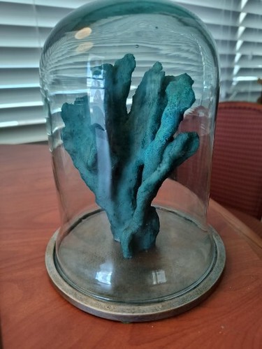 Ethan allen teal finger coral - allen,