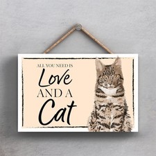 Tabby Cat & Love Is Alll You