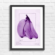 Botanical Vintage Botanical