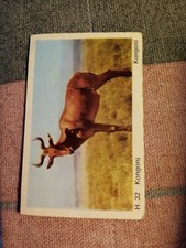 Da12a  trade card dandy gum wild animals no h  32 creased 