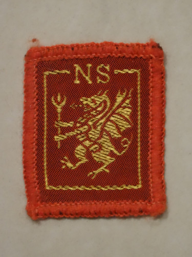National service scout - national,