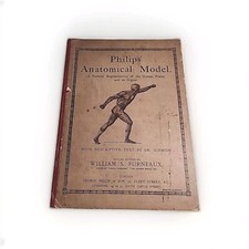 Philips Anatomical Model