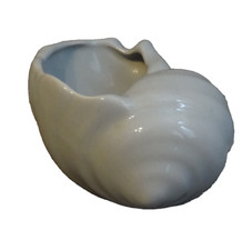 Sea shell vase planter Devon