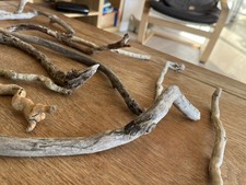 16 CURVY DRIFTWOOD BRANCH