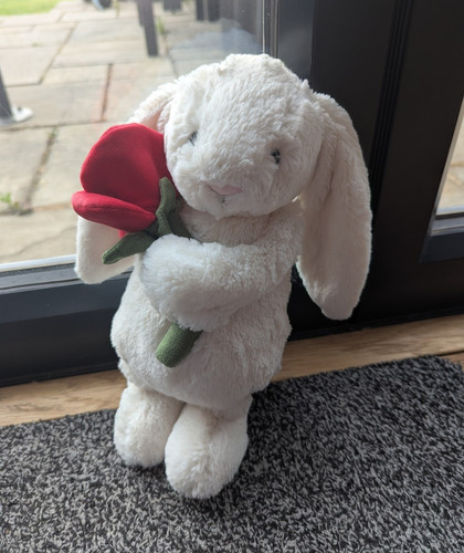 Jellycat cream bashful bunny - cream,