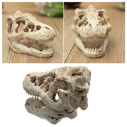 Tropical fish tank accessories - fish,