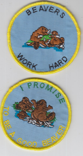 Boy scout badges - scout, beavers