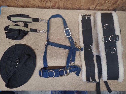 Lunging joblot cob size - lunging,