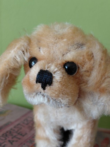 Vintage steiff cocker - vintage,