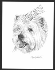 #345 WESTIE West Highland