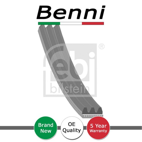 Alternator water pump belt - pump,