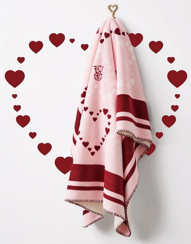 Victoria secret blanket - victoria’s,