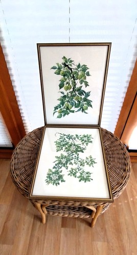 Framed ltd edn victoria - x,