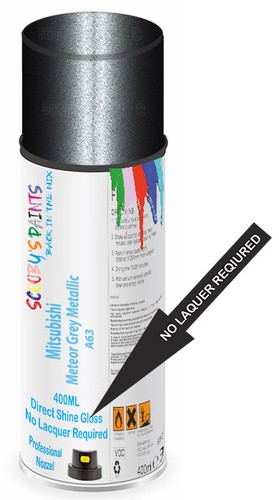 Aerosol spray paint - paint, for
