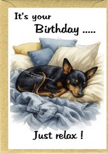English Toy Terrier Dog