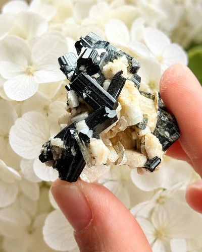 Black tourmaline albite - black, on