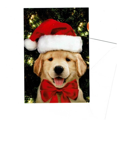 Golden retriever dog christmas - golden,