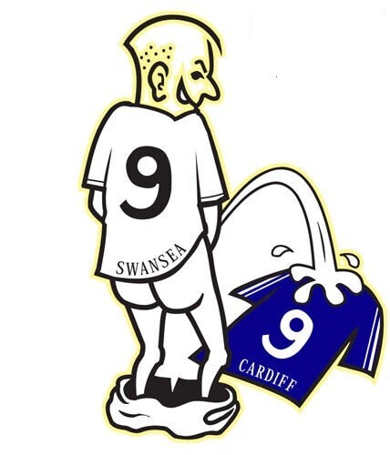 Swansea city football club - swansea,