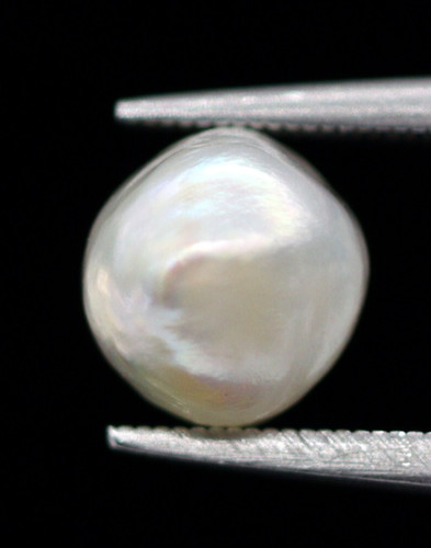 Natural basra saltwater pearl - natural,