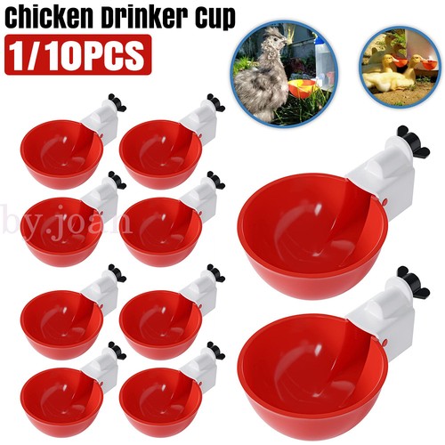 Automatic chicken water cup - chicken,
