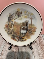 READERS DIGEST WILDlLIFE OF