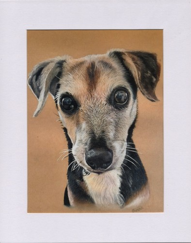 Hand drawn pet portrait - hand,