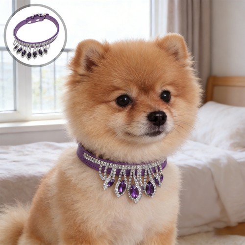 Rhinestone dog collar collars - rhinestone,